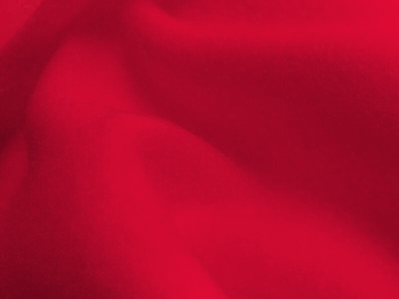 Флис 290 Премиум, Термотрансфер, отрез 1,5 м, 290 г/кв.м, 150 см (Красный Какаду)